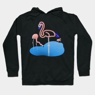 Flaminglow Hoodie